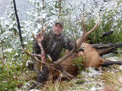 Elk hunting BC