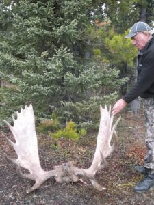 Moose hunting BC (7)