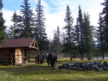 bc hunting outfitter camp - poplar camp
