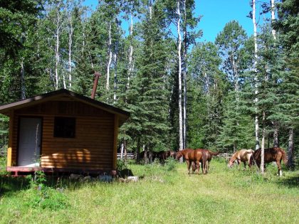 bc hunting outfitter camp