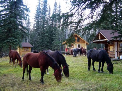 bc hunting outfitter camp - poplar camp (9)