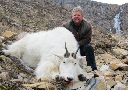 mountain goat hunting outfitter (3)