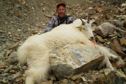 mountain goat hunting outfitter (4)