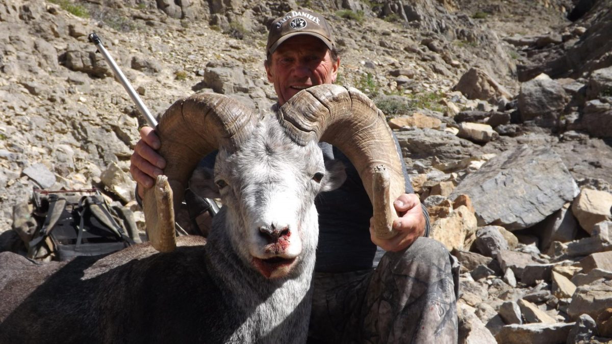 Sheep hunting in British Columbia