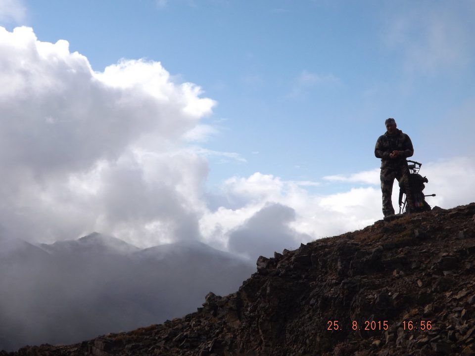 August sheep hunting season