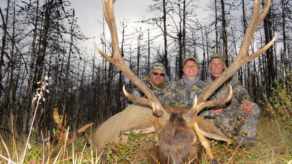 elk hunting