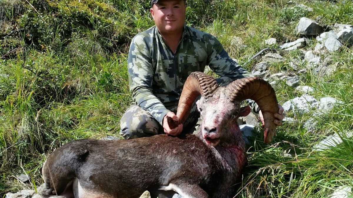 Sheep hunting season in BC