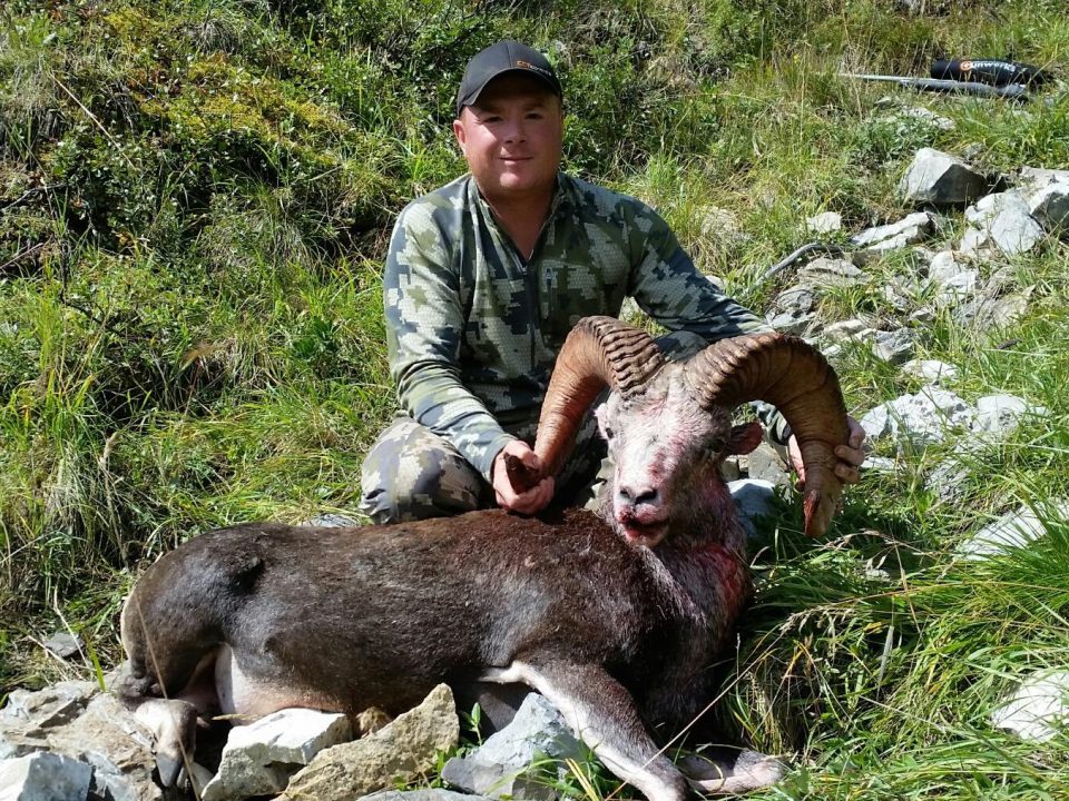 Sheep hunting season in BC