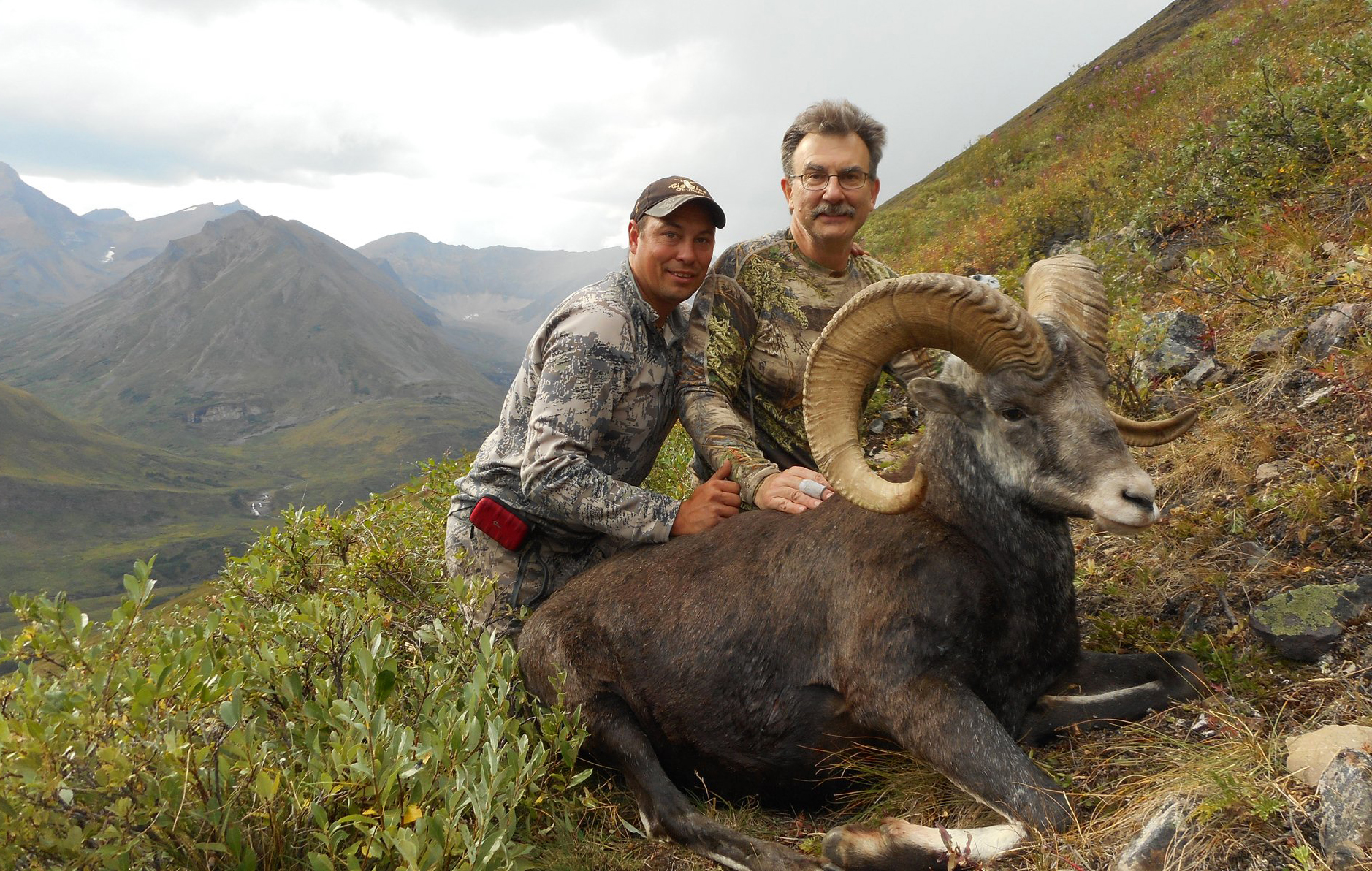 Stone sheep hunting