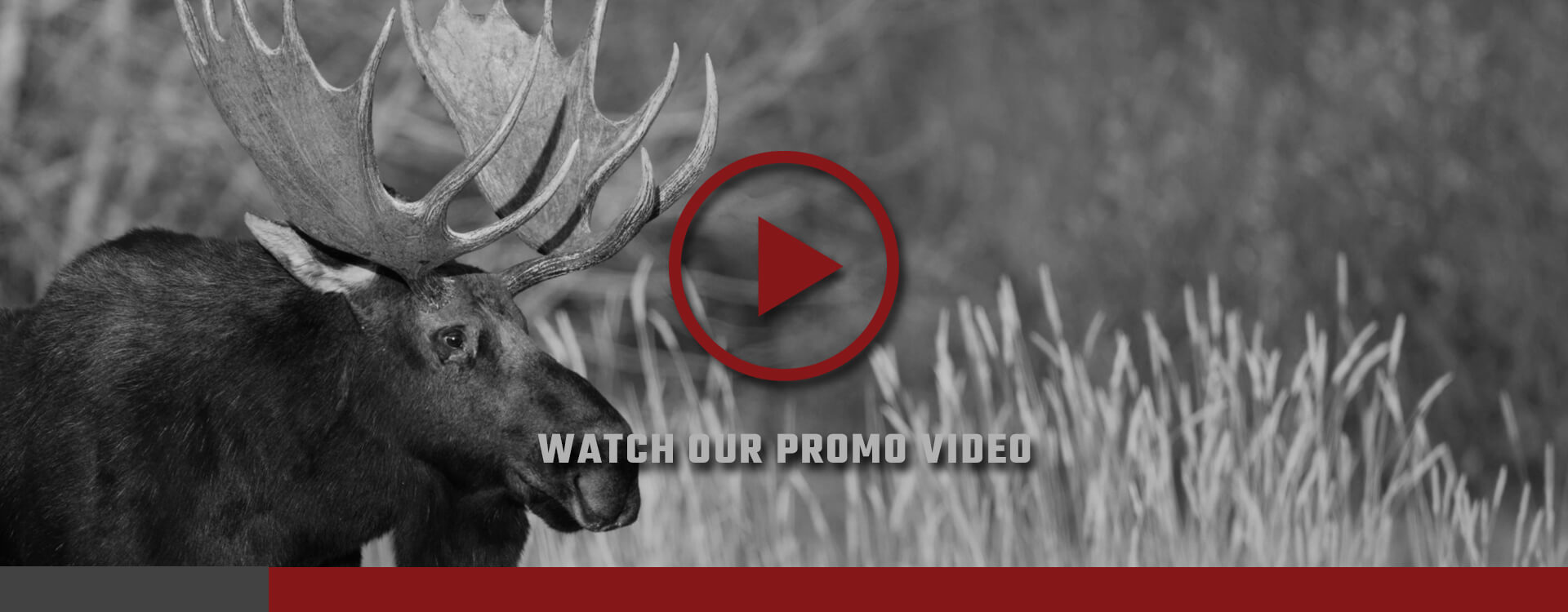 Big Nine Outfitters Intro Video