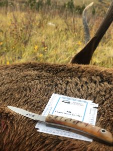Big-Nine-Outfitters-BC-Hunting-Sheep-Elk-Goat-006